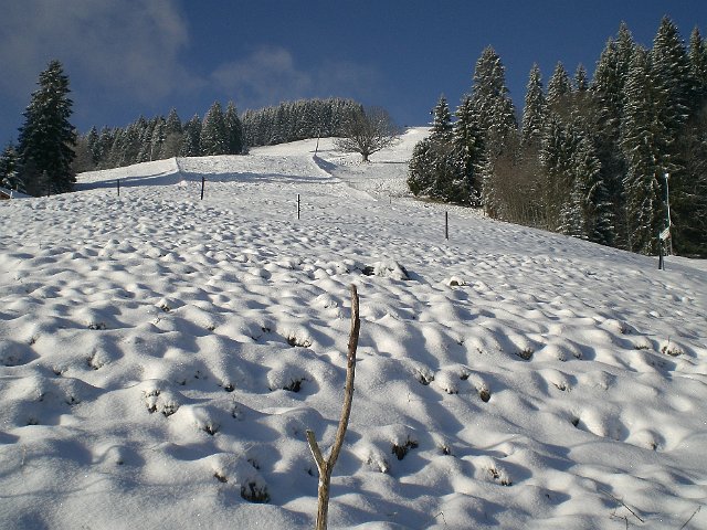 Pizol-08