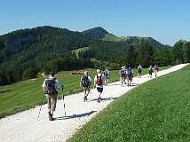 16: Weissenstein-16
