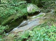 61: Weissenstein-61