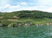 81: Weissenstein-81