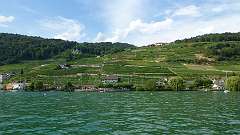 84: Weissenstein-84