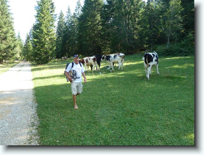 Jura-07.jpg